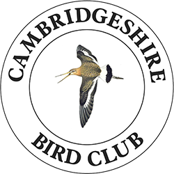 Cambridgeshire Bird Club