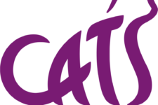 Photo of Cambridge Cats Protection Photo of Cambridge Cats Protection