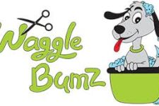 Photo of Waggle Bumz Photo of Waggle Bumz