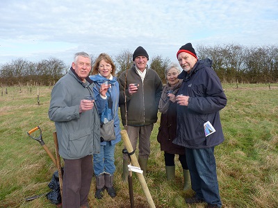 Willingham Action Group Tree Project
